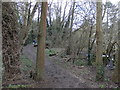 Path by the River Leam, Leamington