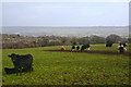 SY0591 : East Devon : Countryside Scenery by Lewis Clarke