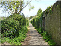 Lovers Walk, Wells