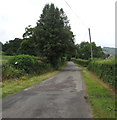 Park y Brain Lane in Penperlleni towards the Mon & Brec