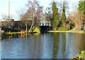 Tamworth Road canal bridge