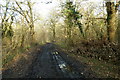 Track in Horton Country Park