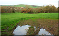 Field in the Bride valley