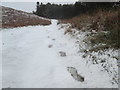 Single set of footprints in the snow