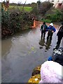 Boxing Day Duck Race on River Banwell