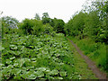 Disused railway at Endon in Staffordshire