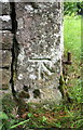 Benchmark on gatepost at entrance to Rigg House