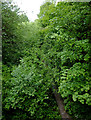 Disused railway west of Milton, Stoke-on-Trent