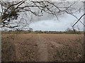 Footpath to Woolpit