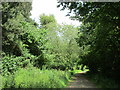 Green Lane near Farthinghoe