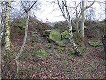 SE2333 : Possible old adit entrance in Post Hill woods by Stephen Craven