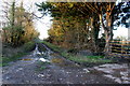 Farm Track near Higher Foddington