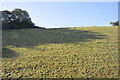 A cornish hillside