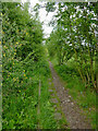 Disused railway near Milton in Stoke-on-Trent