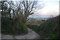 Croyde : Mill Lane