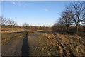 Block paved roadway awaiting its housing