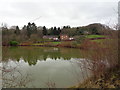 SO7454 : Pond near Ravenshill Woodland Reserve by Jeff Gogarty