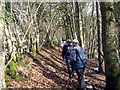 Llwybr Cil-pentan / Cil-pentan Path