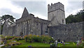 V9786 : Muckross Abbey, Killarney National Park by Phil Champion