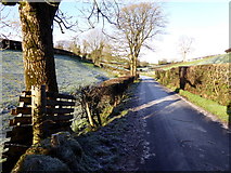 H4569 : Frosty, Lissan by Kenneth  Allen