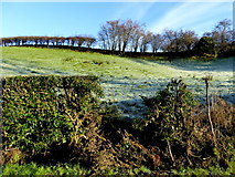 H4569 : A frosty hill, Lissan by Kenneth  Allen