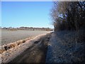 SE3715 : Cart Track at Wintersett Reservoir by Bill Henderson