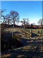 Dyke farm and the footpath