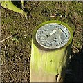 SK4733 : Copper Beech plaque, West Park by Alan Murray-Rust