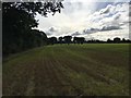 Path heading to Ladygrove Farm