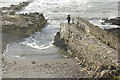 Portwrinkle Harbour