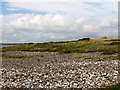 J6245 : Pebble beds on the Raised Beach at Ballyquintin by Eric Jones