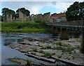 NZ2947 : Finchale Priory and the River Wear by Mat Fascione