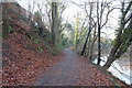 River Ayr Walk