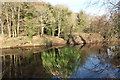 Footbridge by the River Ayr