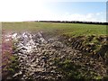 Field, below West Chinnock Hill