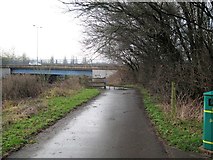 SP0293 : Bike way on bank of River Tame - Newton, Birmingham by Martin Richard Phelan