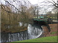 Horton Park Lake & Bridge