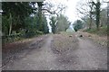 A choice of tracks on Malvern Common