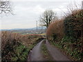 Ger Ffarm Porthyrhyd / Near Porthyrhyd Farm