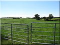 Grazing land on the south side of Ballyfounder Road