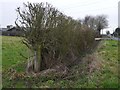 Cut Mark: Upton, Hockerton Road, Gatepost