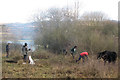SP9313 : Clearing the scrub at College Lake by Chris Reynolds