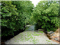 The Afon Aeron near Tal-sarn in Ceredigion