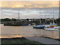 A Mixed Bag in the Old Town Dock