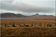 NC8736 : Remains of a Drift Fence near Kinbrace, Sutherland by Andrew Tryon