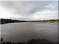 S6211 : River Suir by Redmond O'Brien