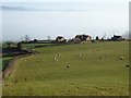 Houses on Marcle Hill