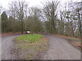 Approach to the hillfort in Wendover Woods