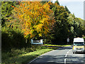 H2046 : Lough Shore Road (A46) at Devenish by David Dixon