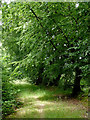 Byway to Brynog north-west of Tal-sarn, Ceredigion